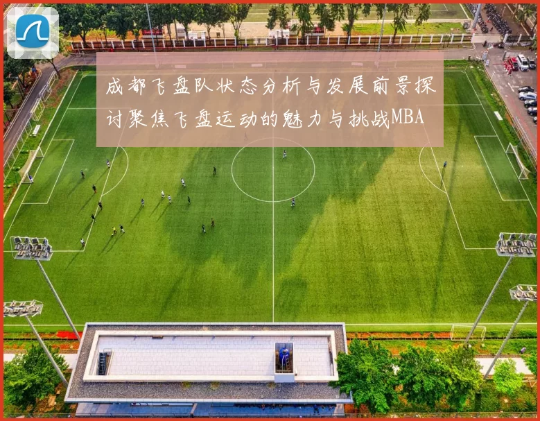 成都飞盘队状态分析与发展前景探讨聚焦飞盘运动的魅力与挑战MBA
